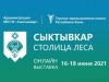 Виртуальная выставка «Сыктывкар - столица леса»